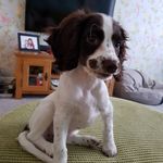 nancythesprocker - @nancythesprocker - Instagram