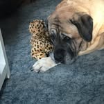 Nancy Rockey - @nancyrockey8 - Instagram