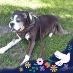 Nancy Rodgers - @nancyrodgers4 - Instagram