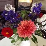 Nancy Roe - @nancy.roe.908 - Instagram