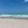 Nancy Roff - @nancy.roff - TikTok