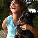Nancy Rogan - @rogannancy - Instagram