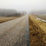 Nancy Rogge - @eggorn - Instagram