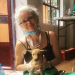 Nancy Rogge, DVM - @crittersgonewild - Instagram