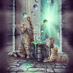 Ronny en nancy - @nancy.roggeman - Instagram