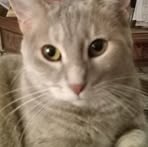 Nancy Rohloff - Facebook