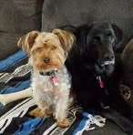 Nancy Rohloff - Facebook