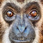 Nancy E. Rolfe Newnham - @soulmadonna - Instagram