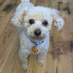 Nancy Rolfe Lesslie - @lesslienancy - Instagram