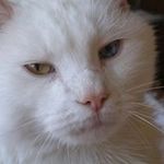 Nancy Rolfe-Proctor - @rolfeproctor - Instagram