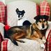 Nancy Rollinson - Facebook