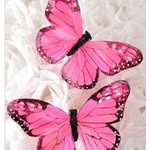 Nancy Romain - @2precious2u - Instagram