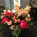 Nancy Roney - @nancysroney - Instagram