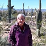 Nancy Ronk Lentz - @nlentz74 - Instagram