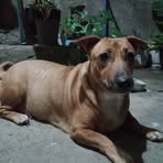 Nancy Rosal - Facebook