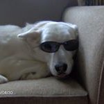 Nancy Rosato - @rosato.nancy - Instagram