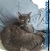Nancy Rosenquist - Facebook