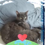 Nancy Rosenquist - Facebook