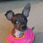 Nancy Rosenquist - @nancyrosenquist - Instagram