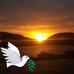 Nancy Rossiter - Facebook