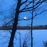 Nancy Rothman - @nanny_poo54 - Instagram
