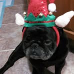 Nancy Rotolo - Facebook