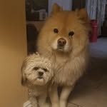 Nancy Roza Ramey - @rameyn2014 - Instagram