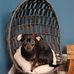 Nancy Rufus - Facebook