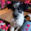 nancyruff23 - @nancyruff23 - TikTok