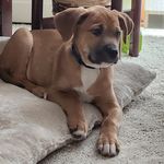 Nancy Rummel - @rummelnancy - Instagram