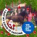 Nancy P Grout-Shaw France-Rupe - Facebook