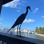 Nancy Rupell Mull - @nmmull - Instagram