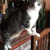 nancyruppel225 - @nancyruppel225 - TikTok