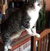 Nancy Ruppel - Facebook