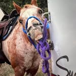 Nancy Mundy Rust - @nancy.rust.3 - Instagram