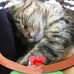 Nancy Rust - Facebook