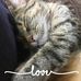 Nancy Rust - Facebook