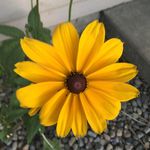 Nancy Rust-Schaefer - @nluvsr - Instagram