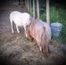 NancyMay Rust - Facebook