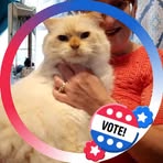 Nancy Ryan - Facebook