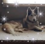 Nancy Raymer - Facebook