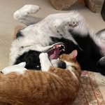 Nancy Sackett Rooney - @nancy_rooney - Instagram