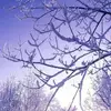 nancysalas9608 - @nancysalas9608 - TikTok