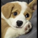 Nancy Sale - Facebook