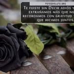Nancy Salome Ventura Quispe - @nancysalomeventuraquispe - Instagram
