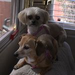 Nancy Salvo - @salvonancy - Instagram