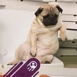 Nancy Sample - @nancy.sample1 - Instagram