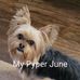 Nancy Housel-Sandstrom - Facebook