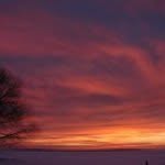 Nancy Sandstrom - @nsand50 - Instagram