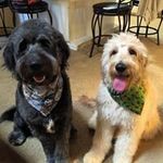 Nancy Ann Sapp - @sapp.nancy - Instagram